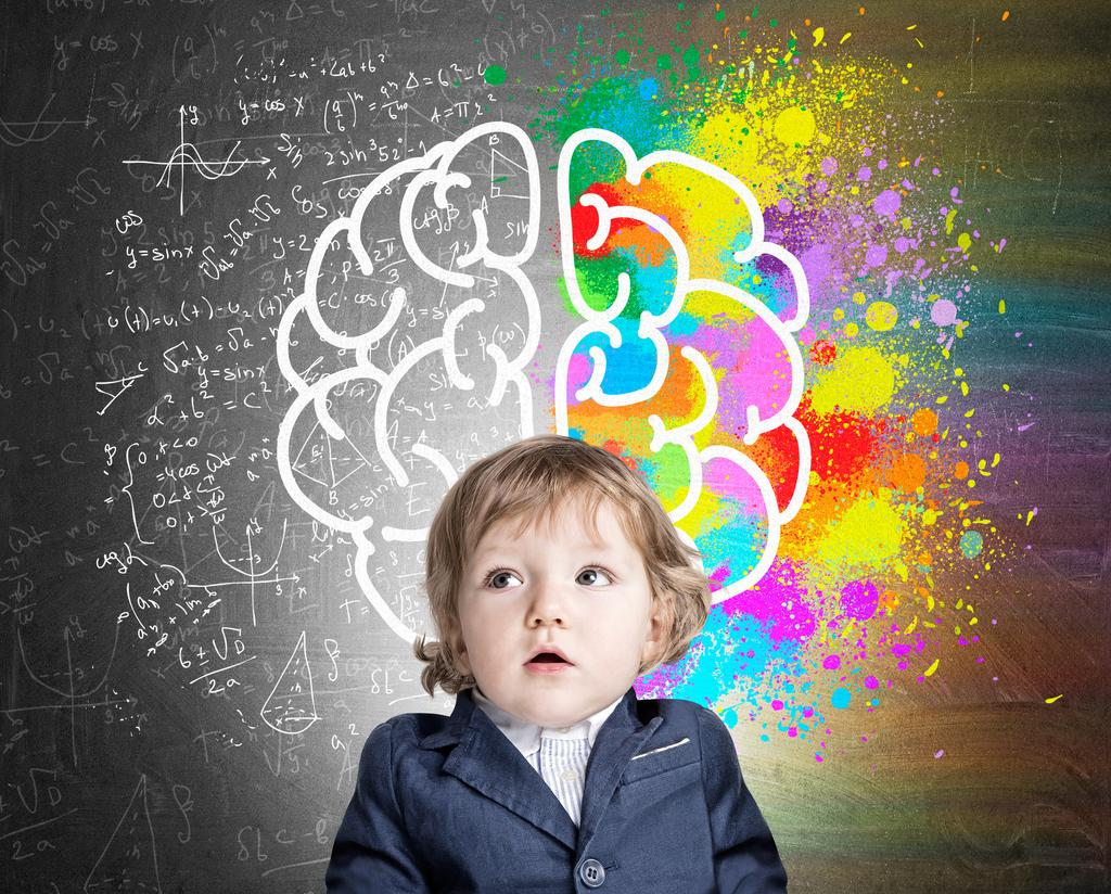 MIND DEVELOPMENT PROGRAM
